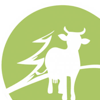 Logo Bildmarke