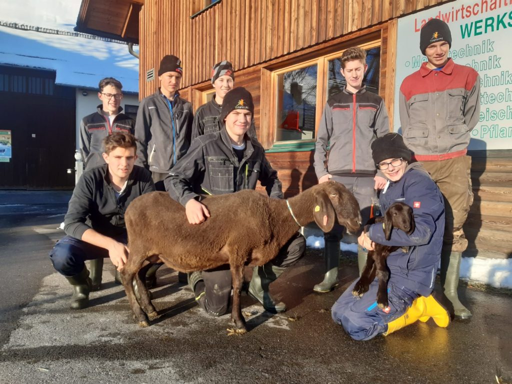 Schüler der LFS Tamsweg mit dem Mutterschaf und einem Lamm von der letzten Ablammung.