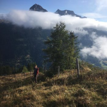 Zaunablegen auf der Gspandl Alm