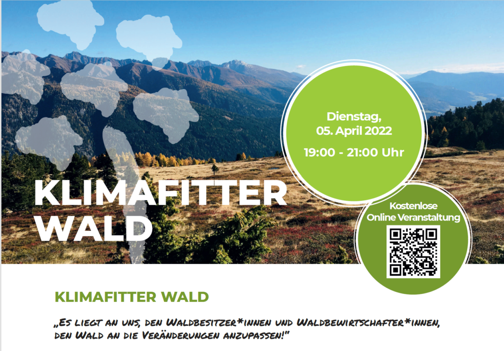 Klimafitter Wald