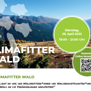 Klimafitter Wald